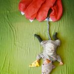 Le chat attrape la souris